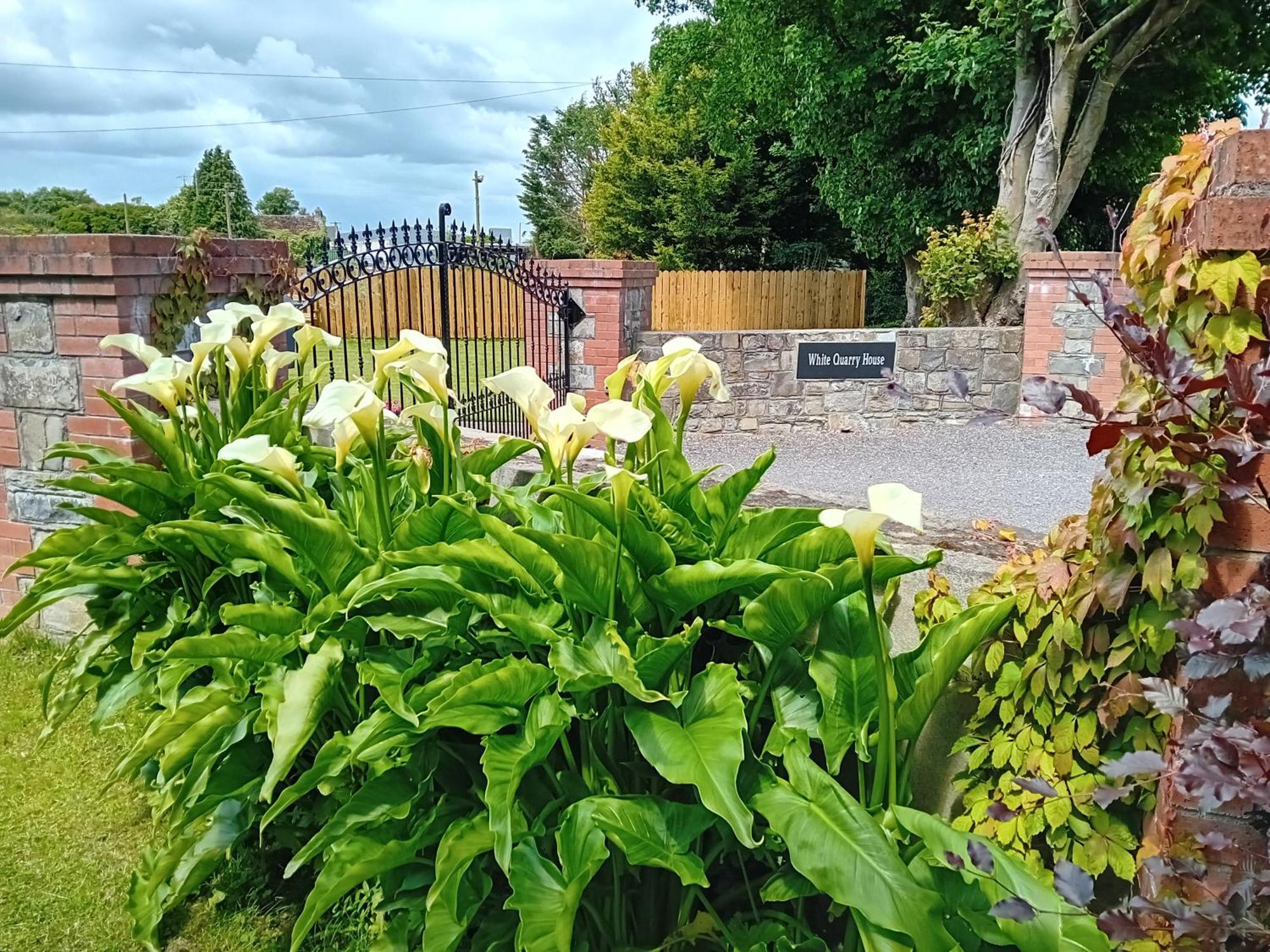 White Quarry Hse Quarry Road Guest House Navan Exterior photo